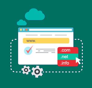 BUSINESS WEB DOMAIN $44.99+