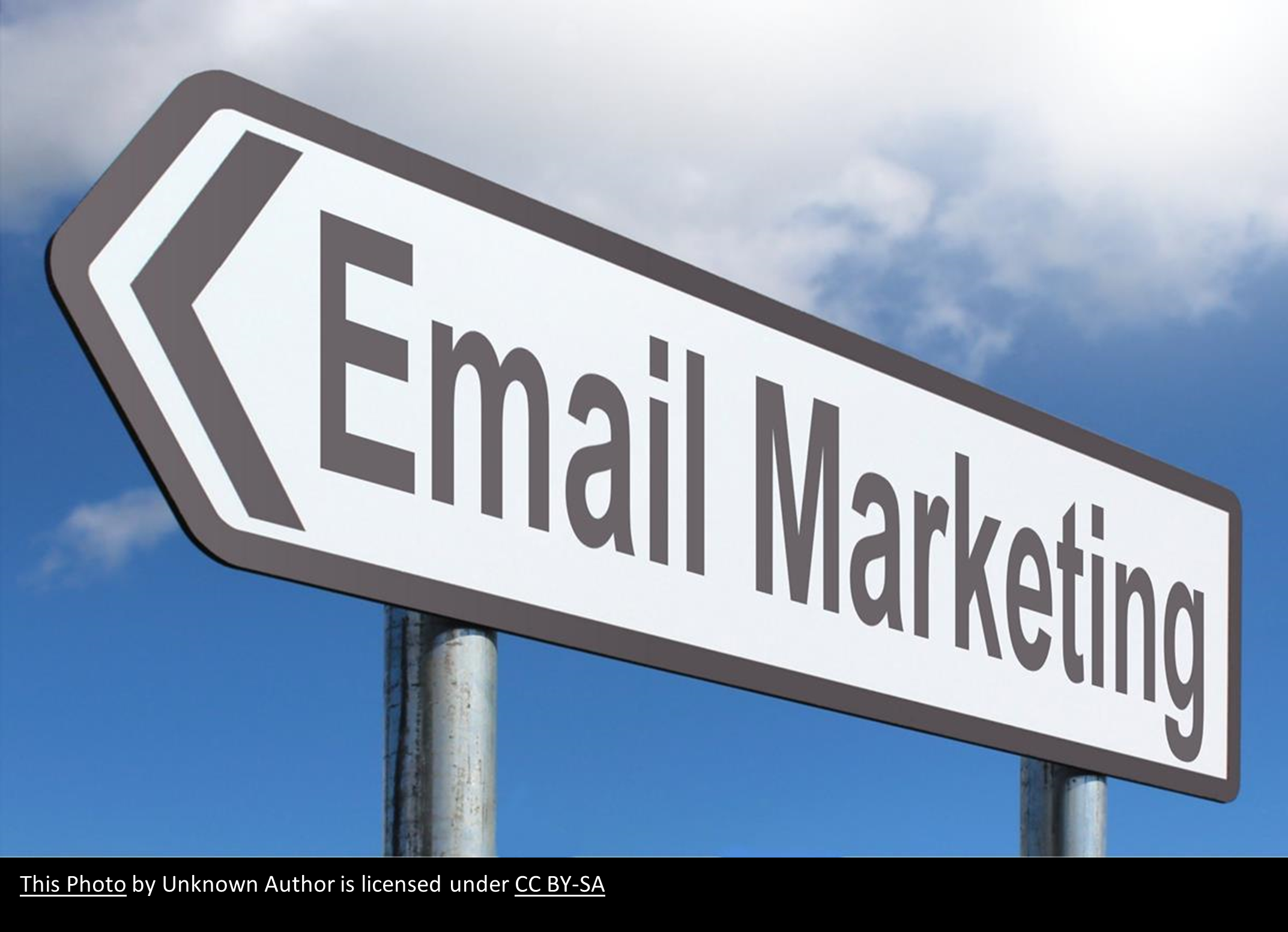 Email Marketing Series: 2. Profiting With Email